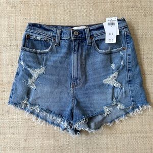 Abercrombie and Fitch High Rise Mom Short (Size 28/6) NWT